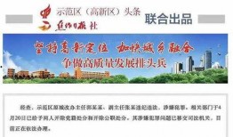 主任最新爆料,最新爆料背后的惊人真相