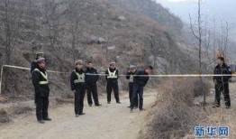 河北唐县爆料事件最新进展